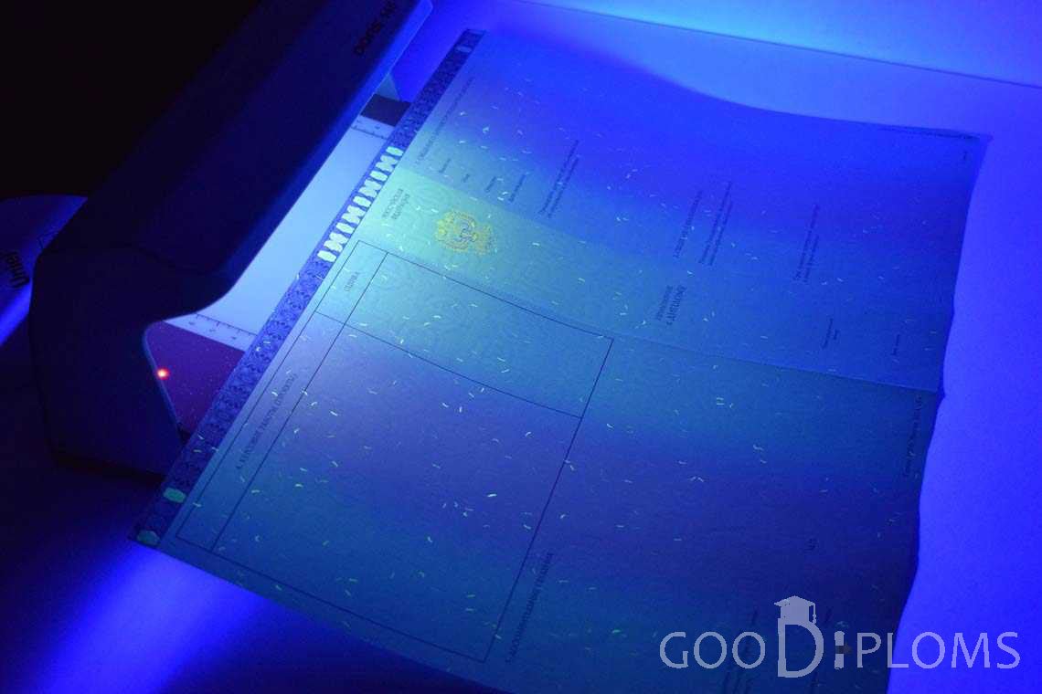 Приложение к Диплому Магистра в Ультрафиолете в период c 2014 по 2025 год - Львов